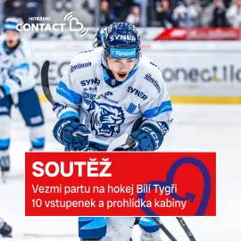 Vezmi celou svojí partu na hokej!