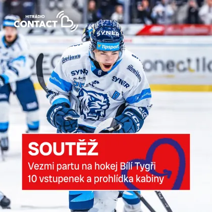 Vezmi celou svoji partu na hokej!