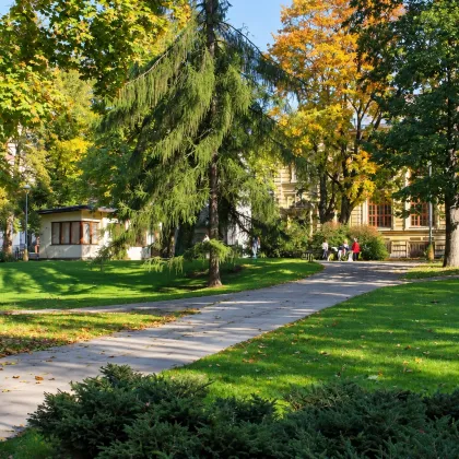 Tyršovy sady se promění v moderní městský park