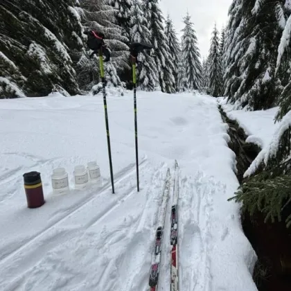 Vědci testují sníh z Jizerek