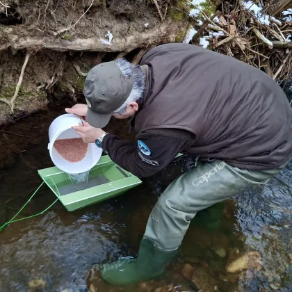 Chrastavští rybáři vracejí život do potoků