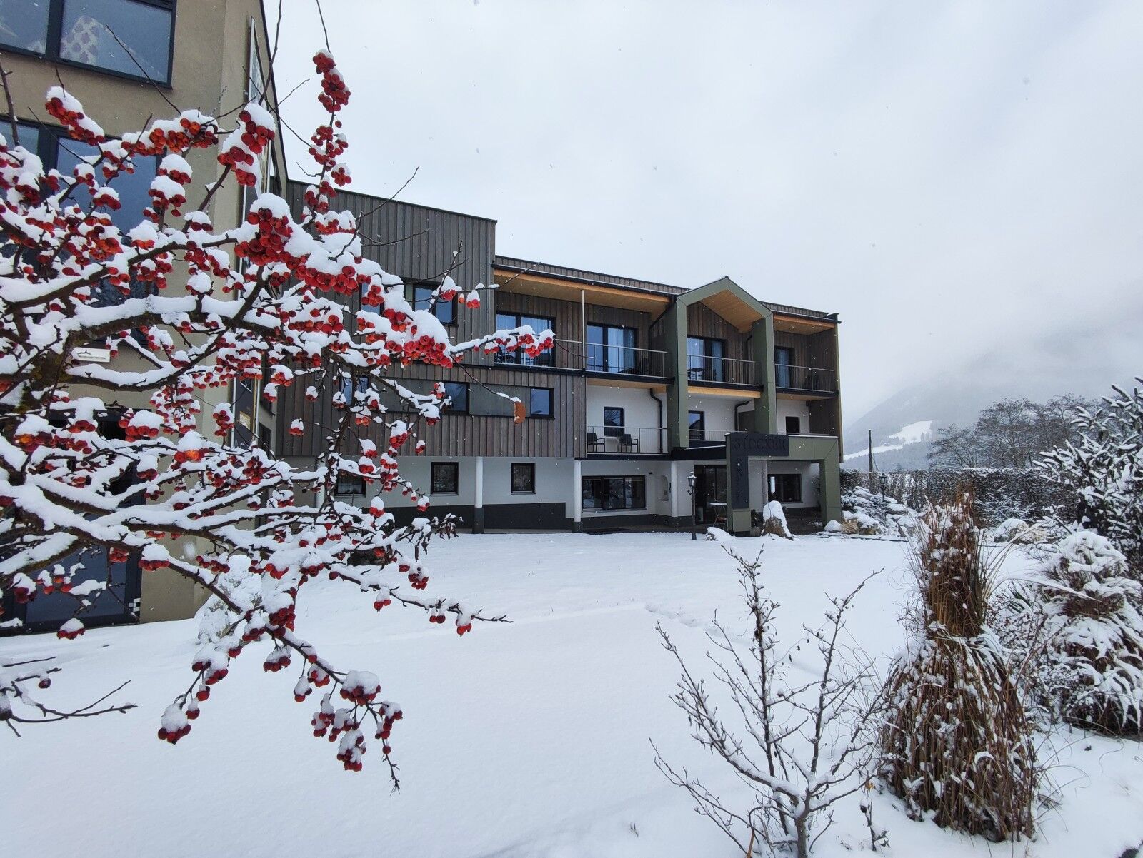 das_stocker_au_enansicht